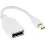 Cabo adaptador Mini DisplayPort macho para DisplayPort fêmea InLine, 4K2K, branco, 0,15 m