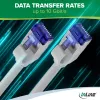 InLine 74930 cabo de rede cinzento 30 m Cat6a S/FTP (S-STP)