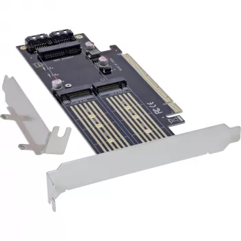 InLine 76660T Placas/adaptadores de interface Interno M.2, mSATA