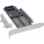 InLine 76660T Placas/adaptadores de interface Interno M.2, mSATA