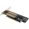 InLine 76660T Placas/adaptadores de interface Interno M.2, mSATA
