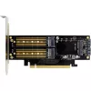 InLine 76660T Placas/adaptadores de interface Interno M.2, mSATA
