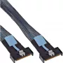 Cabo Serial Attached SCSI (SAS) InLine 27661C 1 m 24 Gbit/s Preto, Azul, Cinzento