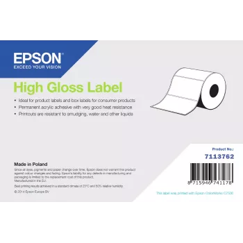 Etiquetas Epson 7113762 Papel normal brilhante 76×127 mm folhas autoadesivas