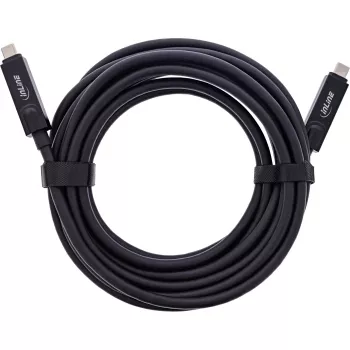 Cabo USB InLine 35799I USB 3.2 Gen 2 (3.1 Gen 2) 10 m USB C preto
