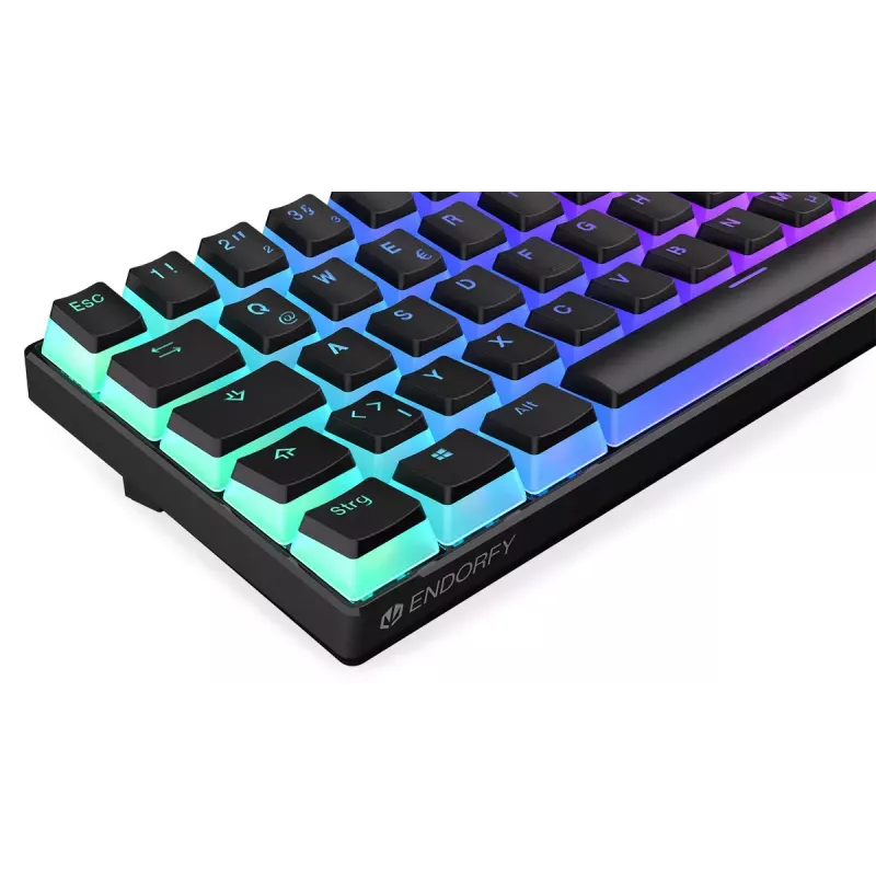 Teclado gaming ENDORFY Thock Compact RF Wireless USB QWERTZ 61 teclas RGB LED