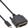 Cabo de ecrã USB InLine, USB-C macho / DVI macho (DP Alt Mode), preto, 2 m