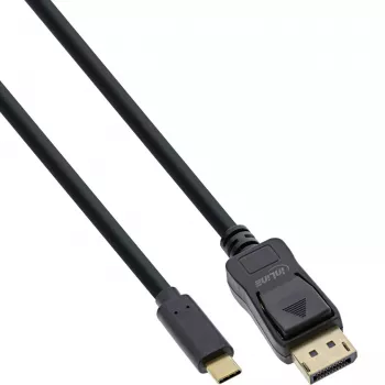Cabo de ecrã USB InLine, ficha USB-C macho para ficha DisplayPort macho, 2 m