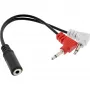 Cabo adaptador de áudio InLine para auscultadores, 2 fichas de 3,5 mm para conector fêmea de 3,5 mm de 3 polos, 0,15 m