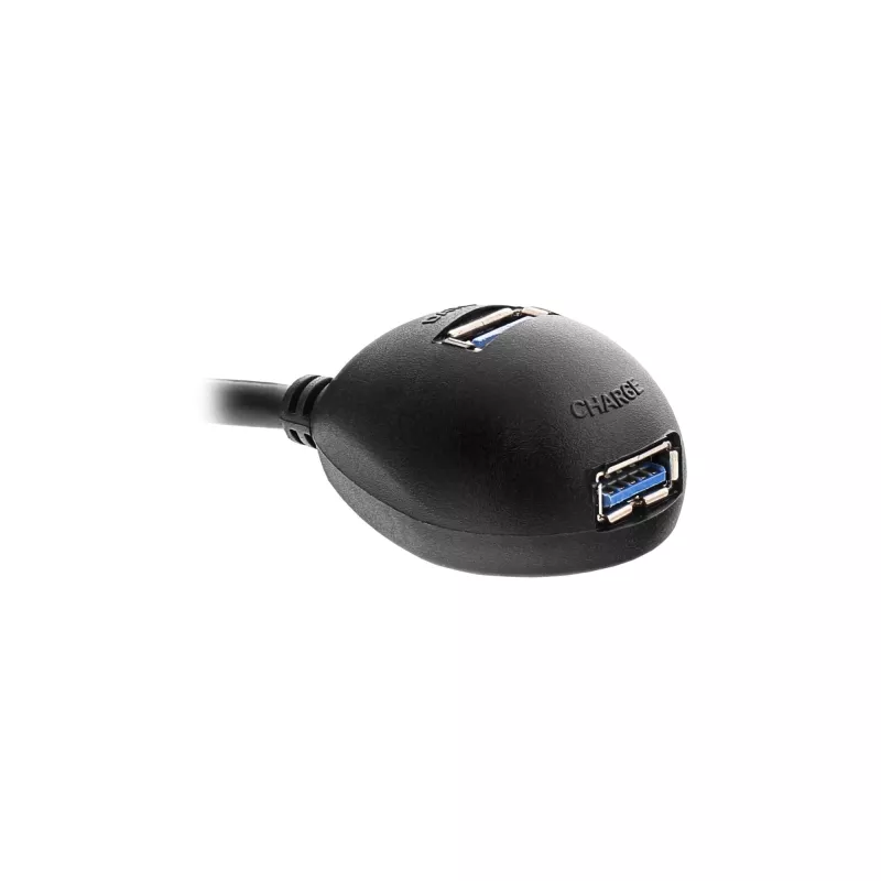 Cabo USB 3.2 Gen.1 InLine USB Type-A M / A F + alimentação, com suporte, preto, 3 m