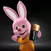 Pilha descartável Duracell Plus C alcalina