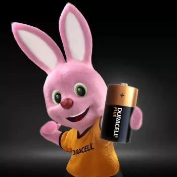 Pilha descartável Duracell Plus C alcalina