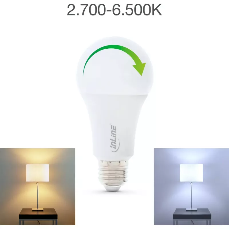 Lâmpada LED InLine SmartHome RGB E27, 900LM