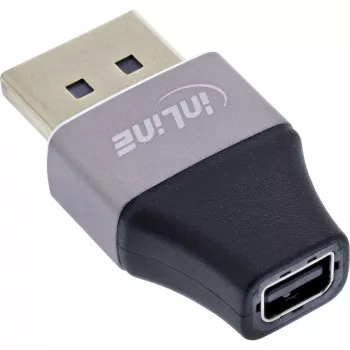 InLine 17291B adaptador de cabo DisplayPort Mini DisplayPort preto, cinzento