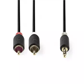Cabo de áudio Nedis CABW22200AT20 2 m 3,5 mm 2 x RCA antracite
