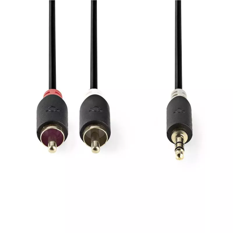 Cabo de áudio Nedis CABW22200AT20 2 m 3,5 mm 2 x RCA antracite