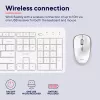 Trust Ody II Teclado Rato incluído Escritório RF sem fios alemão branco