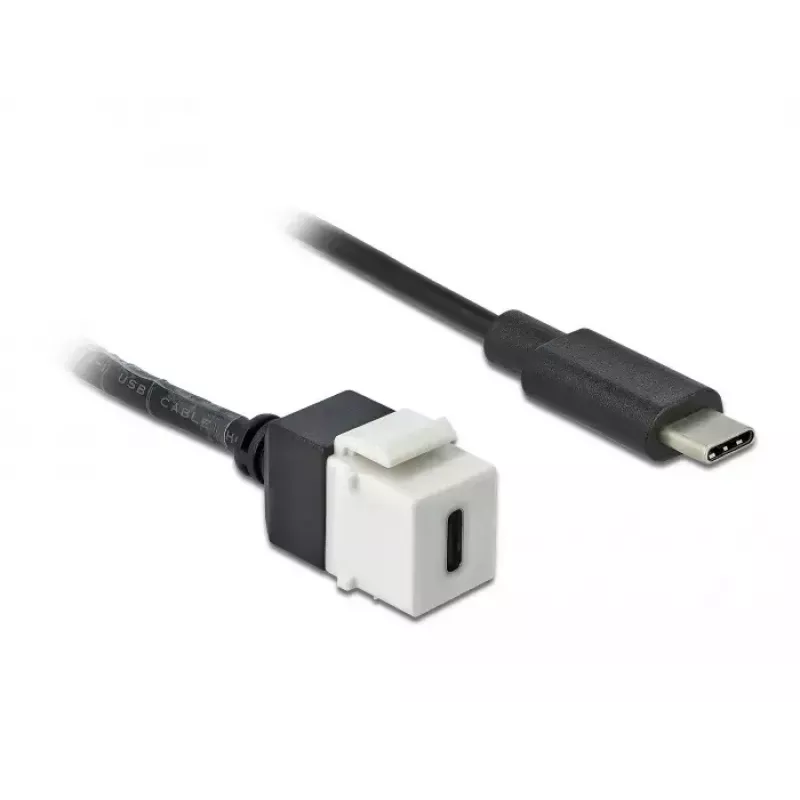 Módulo Keystone DeLOCK 86399 Plano Preto Branco USB C