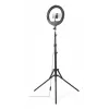 Anel de luz Hama SpotLight Steady 120 III 160 LED 1020 lm 3000 K