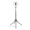 Anel de luz Hama SpotLight Steady 120 III 160 LED 1020 lm 3000 K