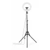 Anel de luz Hama SpotLight Steady 120 III 160 LED 1020 lm 3000 K