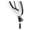 Anel de luz Hama SpotLight Steady 120 III 160 LED 1020 lm 3000 K