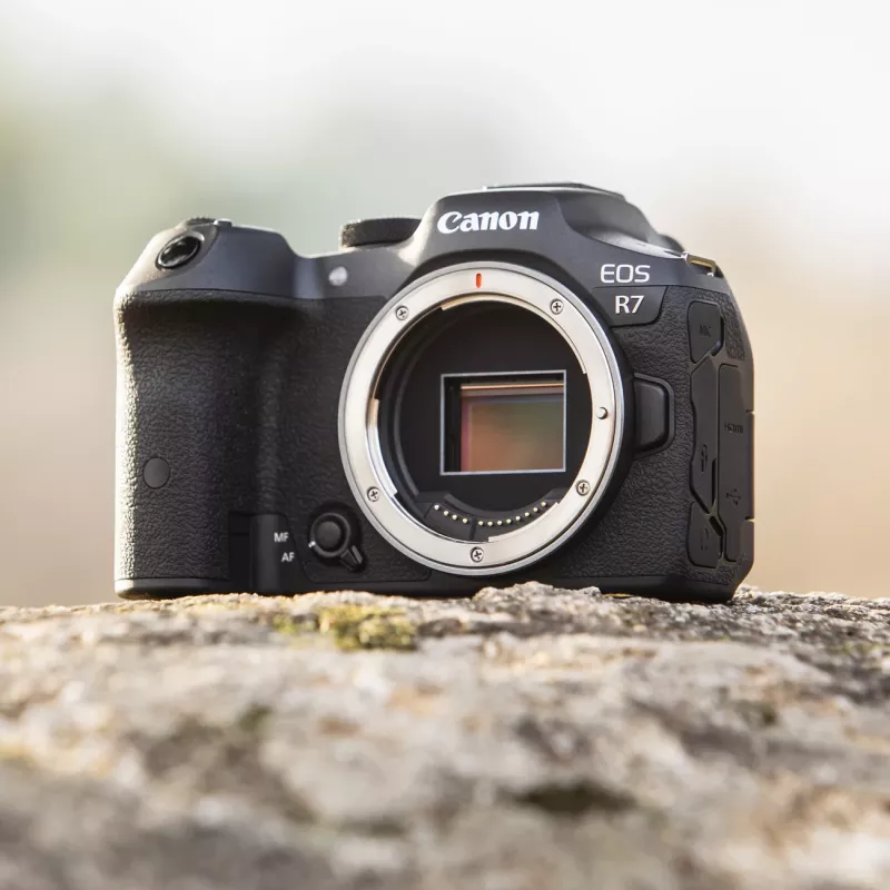 Câmara Canon EOS R7 MILC corpo 32,5 MP CMOS 6960 x 4640 píxeis preto