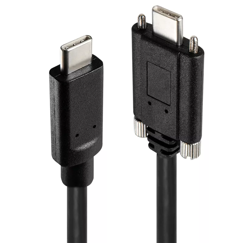 Hub USB Lindy 4 portas USB 3.2 Gen 2 Type-C metálico