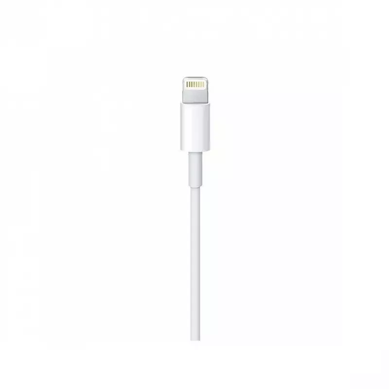 Cabo Apple Lightning para USB-C (2 m) MKQ42ZM/A