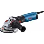 Bosch GWS 17-125 S INOX Professional rebarbadora angular, 1700 W, azul/preto