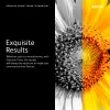 Xerox 106R02626 tinteiro de toner 2 unid. original preto
