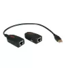 Extensor USB 2.0 ROLINE 12.04.1100