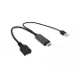 Adaptador de vídeo VALUE 12.99.3146 0,3 m HDMI Type-A DisplayPort preto