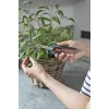 Tesoura de jardim de bypass Gardena 12212-36 azul-cinzento punho de plástico