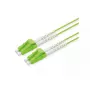 Cabo de fibra ótica ROLINE InfiniBand 1 m 2x LC verde OM5 50 µm