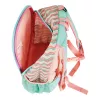 Mochila escolar Herlitz Rookie Sweet Jungle verde pêssego poliéster