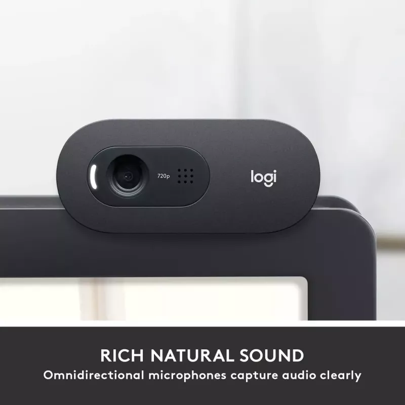 Webcam Logitech C505 HD 1280x720 USB preto