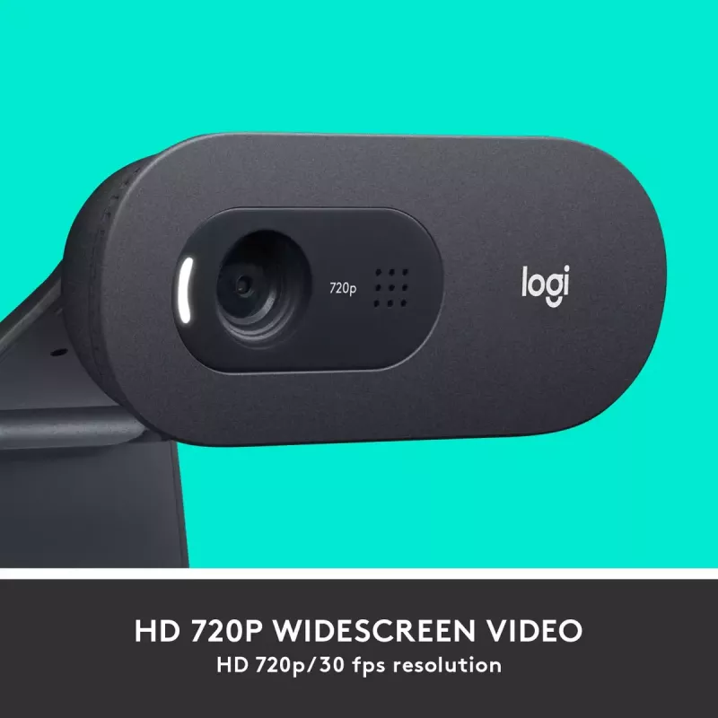 Webcam Logitech C505 HD 1280x720 USB preto