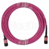 BlueOptics AV25-BO Cabo tronco de fibra multimodo, MPO/UPC para MPO/UPC, OM4, 5 m, magenta