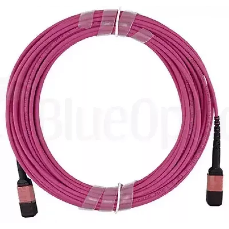 BlueOptics AV28-BO cabo tronco de fibra multimodo, MPO/UPC para MPO/UPC, OM4, 15 m, magenta