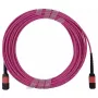 BlueOptics AV29-BO Cabo tronco de fibra multimodo, MPO/UPC para MPO/UPC, OM4, 20 m, magenta