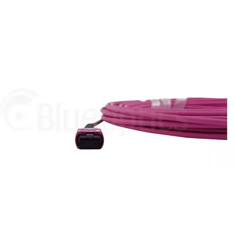 Cabo de fibra ótica MPO BlueOptics CBL-MPO12-OM4-1M 1 m OM4