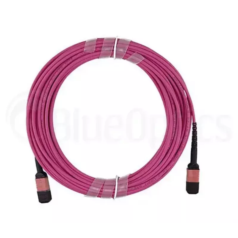 Cabo de fibra ótica MPO BlueOptics CBL-MPO12-OM4-1M 1 m OM4