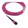 Cabo de fibra ótica MPO BlueOptics CBL-MPO12-OM4-20M-BO 20 m OM4