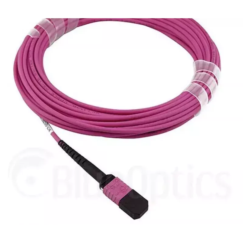 Cabo de fibra ótica MPO BlueOptics CBL-MPO12-OM4-5M-BO 5 m OM4 50 µm