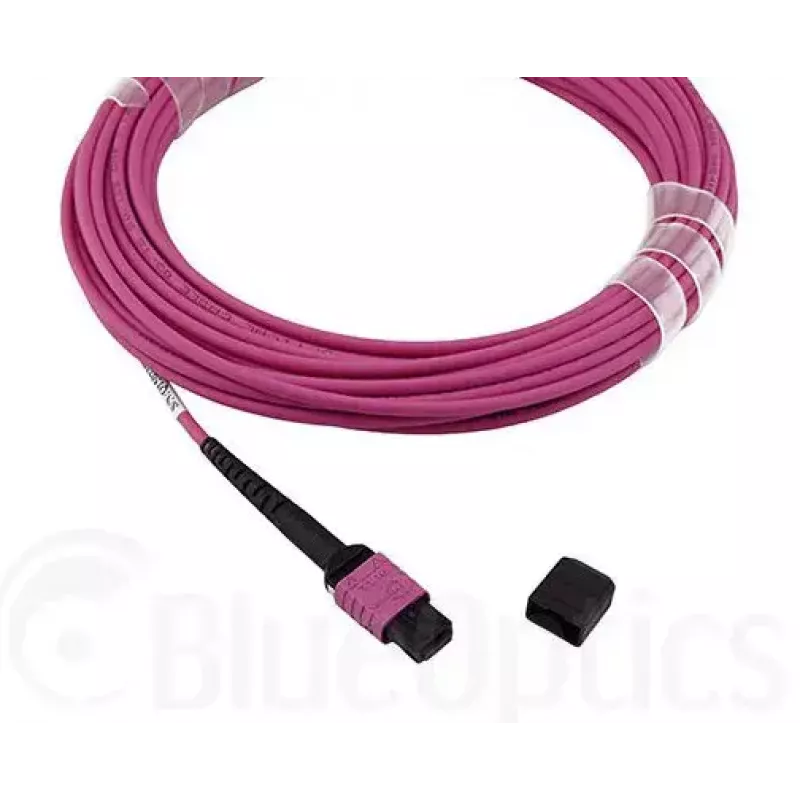 Cabo de fibra ótica MPO BlueOptics CBL-MPO12-OM4-5M-BO 5 m OM4 50 µm