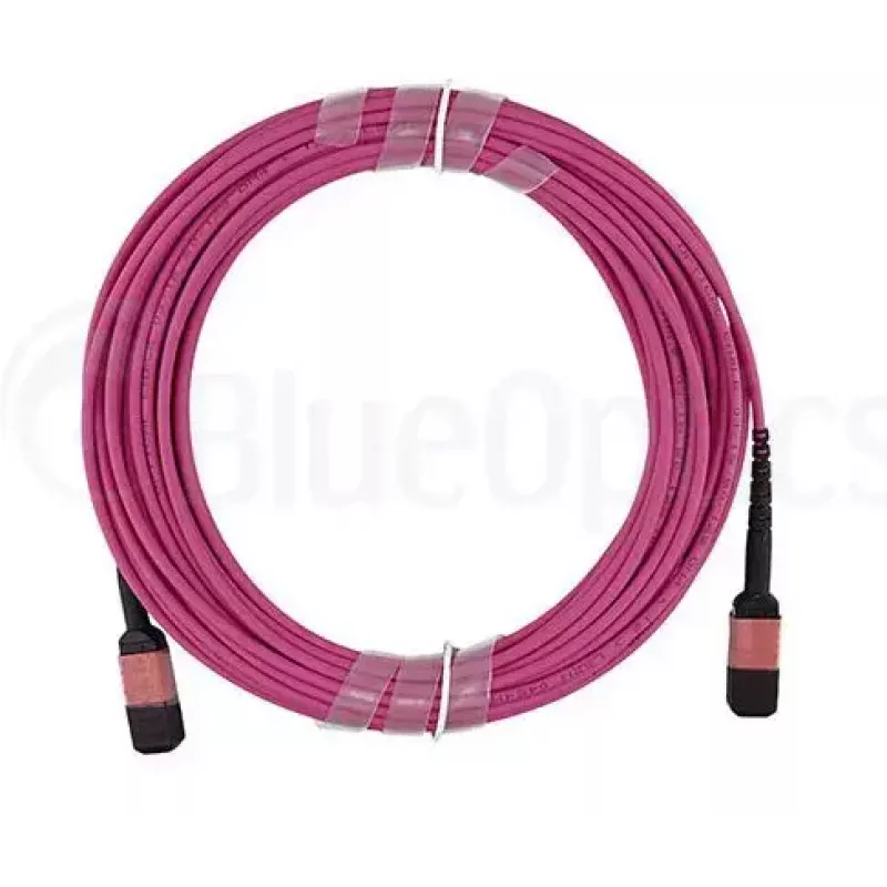 Cabo de fibra ótica MPO BlueOptics CBL-MPO12-OM4-5M-BO 5 m OM4 50 µm