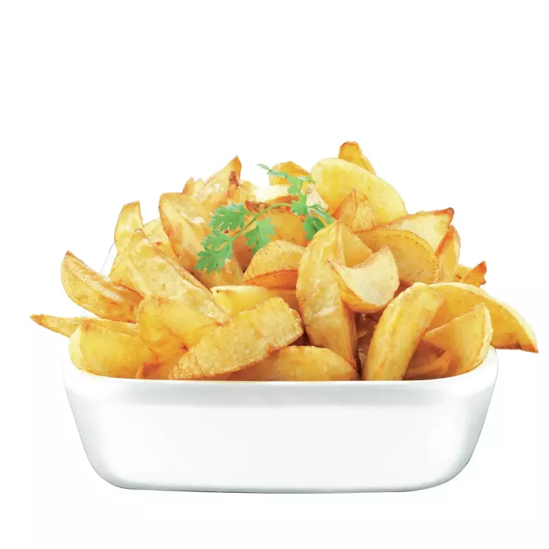 Tefal FR4800 Aparelho autónomo 2100 W Fritadeira aço inoxidável, branco