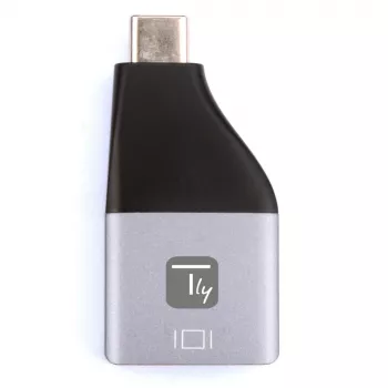 Adaptador gráfico USB Techly IADAP USBC-DP4K 3840 x 2160 píxeis preto, prateado