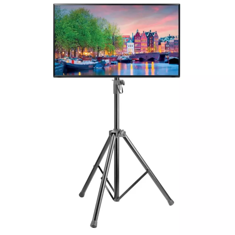 Suporte de montagem em parede para ecrã Techly ICA-TR17T 177,8 cm (70
